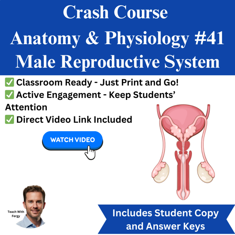 Crash Course ANATOMY & PHYSIOLOGY #41: Male Reproductive System