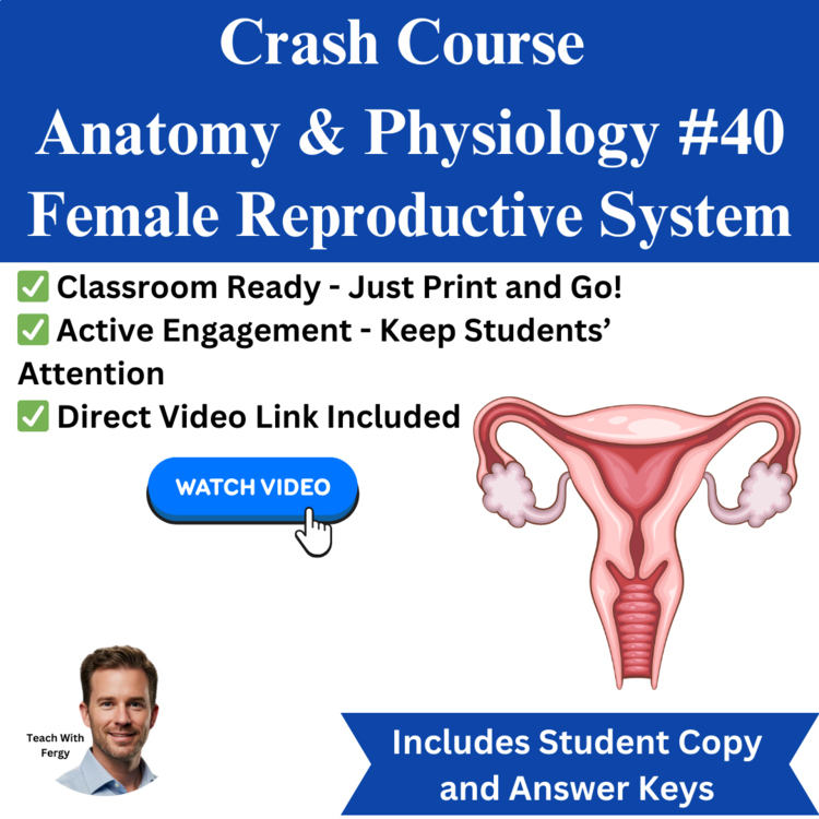 Crash Course ANATOMY & PHYSIOLOGY #40: Female Reproductive System