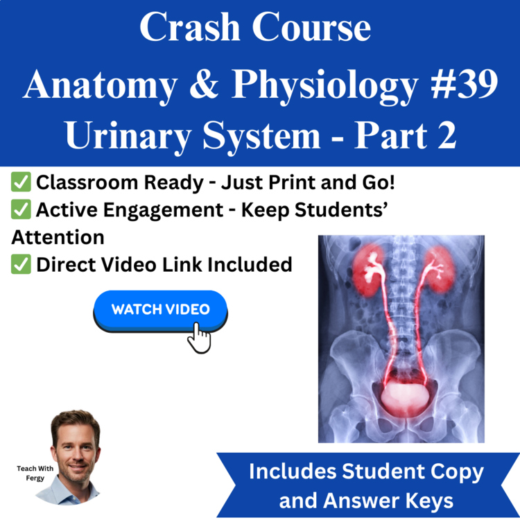 Crash Course ANATOMY & PHYSIOLOGY #39: Urinary System - Part 2