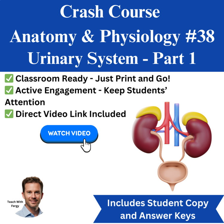 Crash Course ANATOMY & PHYSIOLOGY #38: Urinary System - Part 1