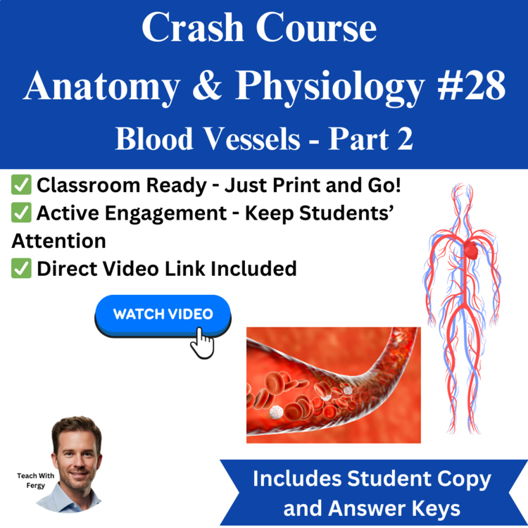 Crash Course ANATOMY & PHYSIOLOGY #28: Blood Vessels | Vessel Structure