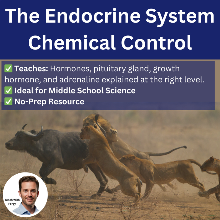 The Endocrine System Lesson | Chemical Signals, Hormones | 6th, 7th, 8th Grade