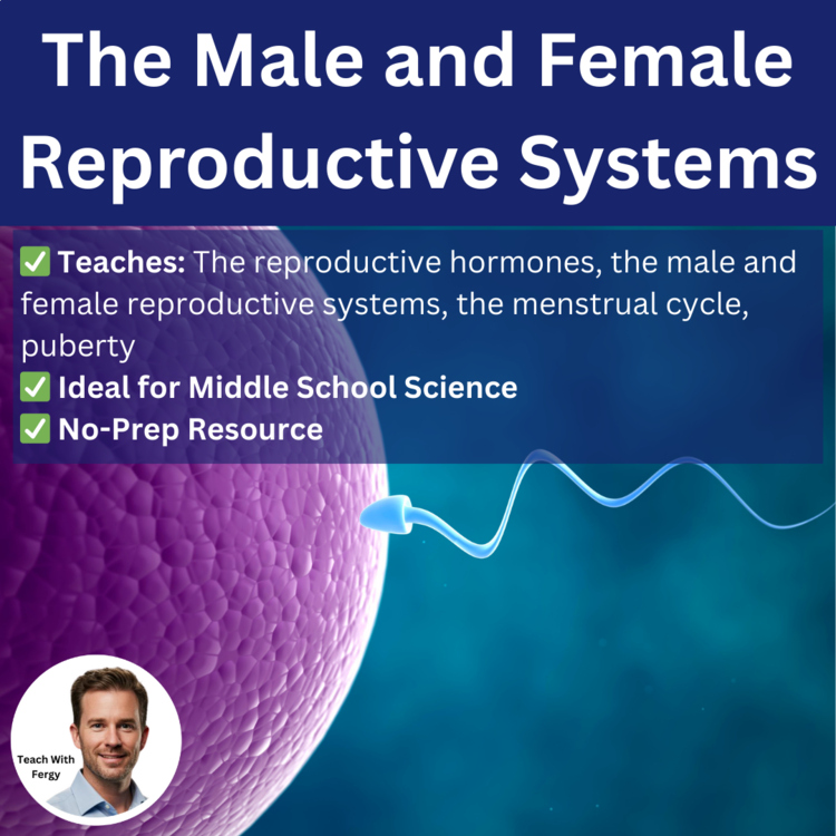 The Male and Female Reproductive Systems Lesson | 6th, 7th, 8th Grade