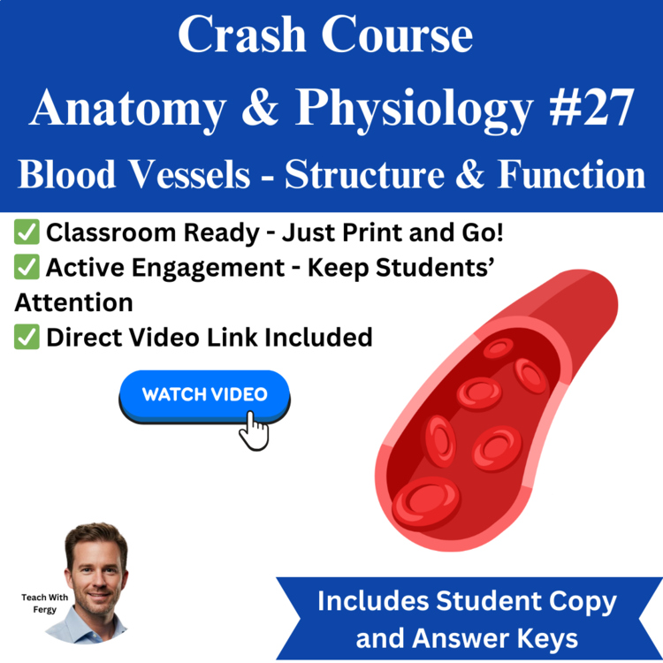 Crash Course ANATOMY & PHYSIOLOGY #27: Blood Vessels | Structure & Function