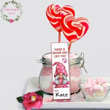 Love Gnomes Pun Bookmarks Keepsake Valentines Cards Goodie Bag Gift Tags, image 3