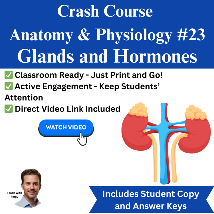 Crash Course ANATOMY & PHYSIOLOGY #23: Glands and Hormones | Endocrine