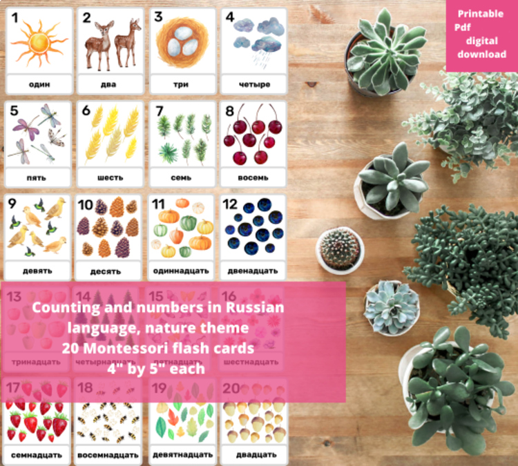 Russian Language Vocabulary Words Numbers Counting Nature FlashCards Montessori