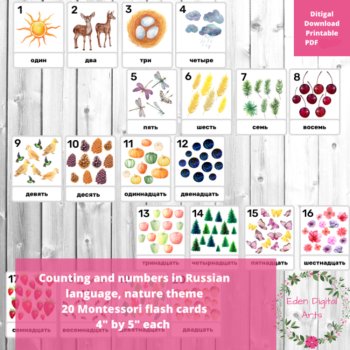 Russian Language Vocabulary Words Numbers Counting Nature FlashCards Montessori, image 2