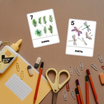 Russian Language Vocabulary Words Numbers Counting Nature FlashCards Montessori, image 4