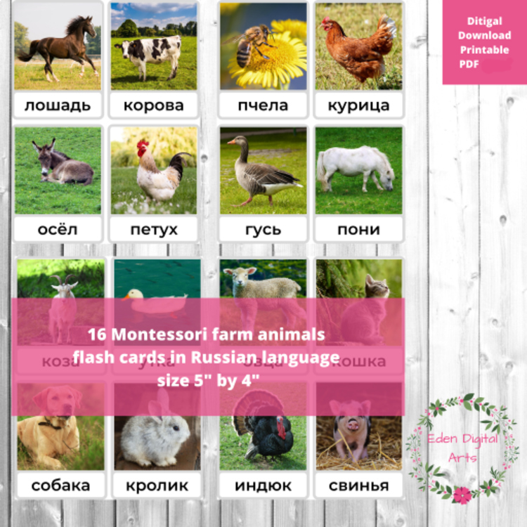 Russian Language Farm Animals Montessori FlashCards Vocabulary Карточки