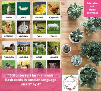 Russian Language Farm Animals Montessori FlashCards Vocabulary Карточки, image 2