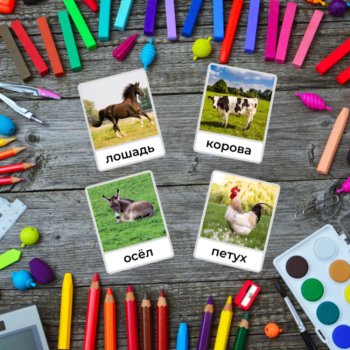 Russian Language Farm Animals Montessori FlashCards Vocabulary Карточки, image 3