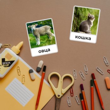 Russian Language Farm Animals Montessori FlashCards Vocabulary Карточки, image 4