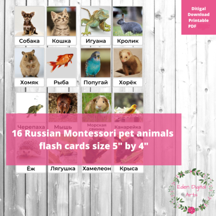 Russian Language Pet Animals Montessori FlashCards Vocabulary Животные Карточки