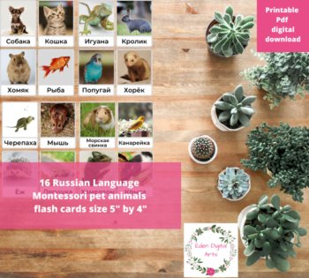Russian Language Pet Animals Montessori FlashCards Vocabulary Животные Карточки, image 2