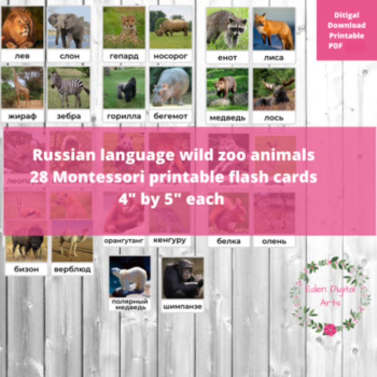 Russian Language Wild Zoo Animals Vocabulary Picture Flashcards Животные Photos