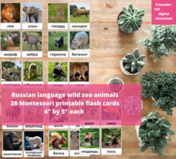 Russian Language Wild Zoo Animals Vocabulary Picture Flashcards Животные Photos, image 2