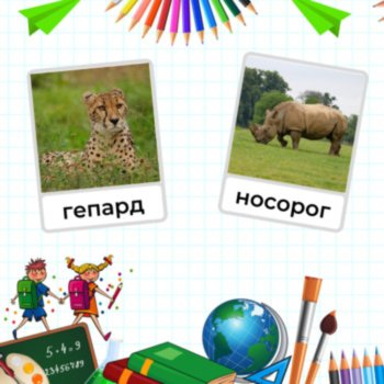Russian Language Wild Zoo Animals Vocabulary Picture Flashcards Животные Photos, image 3