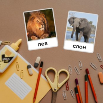 Russian Language Wild Zoo Animals Vocabulary Picture Flashcards Животные Photos, image 4