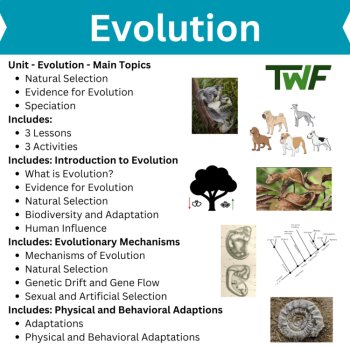 Evolution Curriculum Unit | Natural Selection, Evidence of Evolution, Speciation, image 2