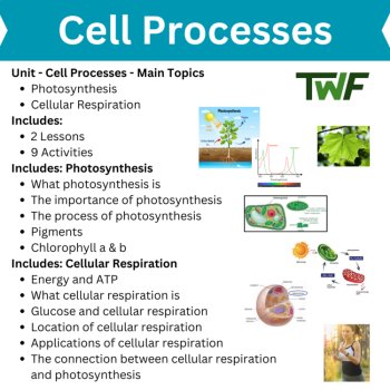 Cell Processes Curriculum Unit | Photosynthesis, Cellular Respiration, image 2