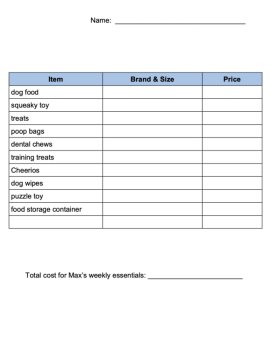 Shopping List Activities | Shopping Math | Consumer Math | Functional Math, image 4