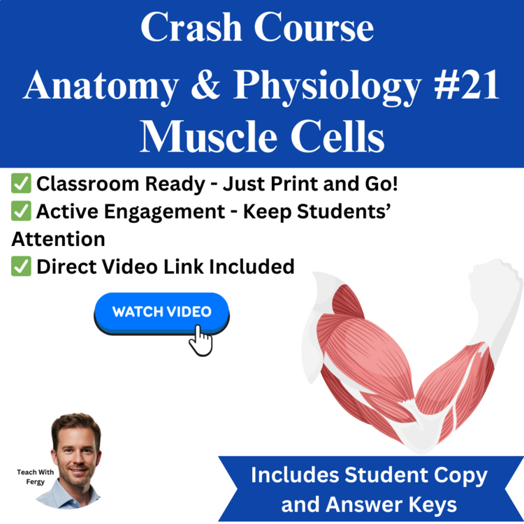 Crash Course ANATOMY & PHYSIOLOGY #21: Muscle Cells | Actin, Myosin
