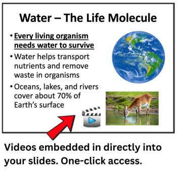What Makes Earth Able to Support Life? Lesson | Temperature, Water, Atmosphere, image 3