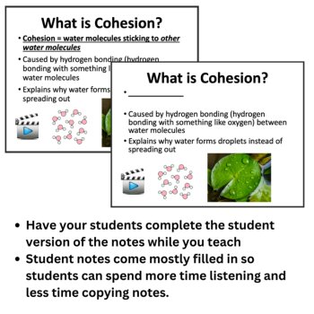 Properties of Water - Cohesion, Adhesion, & Surface Tension Lesson | 6th 7th 8th, image 2
