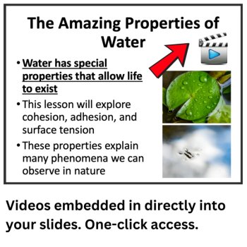 Properties of Water - Cohesion, Adhesion, & Surface Tension Lesson | 6th 7th 8th, image 3