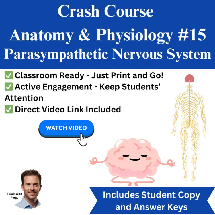 Crash Course ANATOMY & PHYSIOLOGY #15: Parasympathetic Nervous System