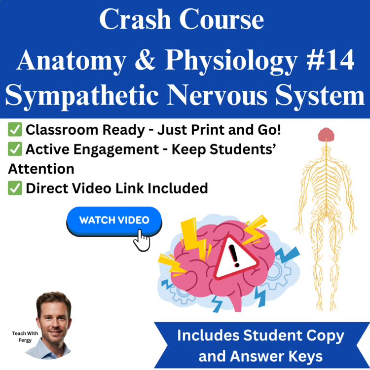 Crash Course ANATOMY & PHYSIOLOGY #14: Sympathetic Nervous System