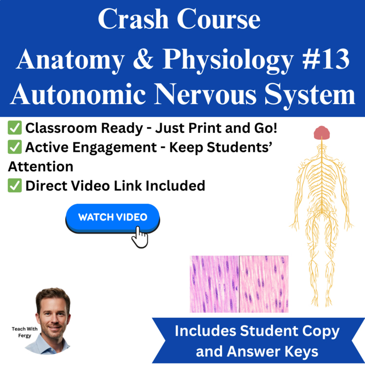Crash Course ANATOMY & PHYSIOLOGY #13: Autonomic Nervous System