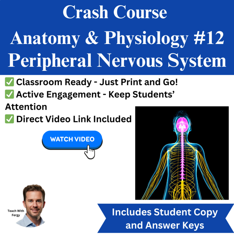 Crash Course ANATOMY & PHYSIOLOGY #12: Peripheral Nervous System