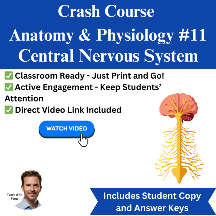 Crash Course ANATOMY & PHYSIOLOGY #11: Central Nervous System