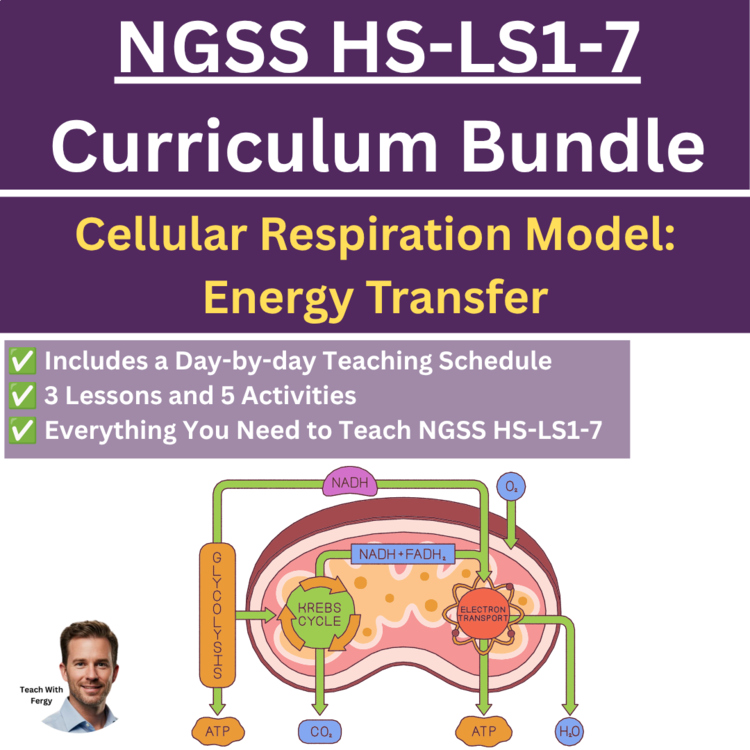 HS-LS1-7 Cellular Respiration Model: Energy Transfer BUNDLE | Krebs Cycle