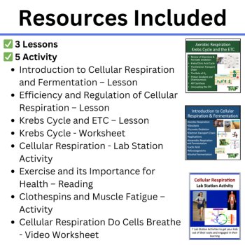 HS-LS1-7 Cellular Respiration Model: Energy Transfer BUNDLE | Krebs Cycle, image 2