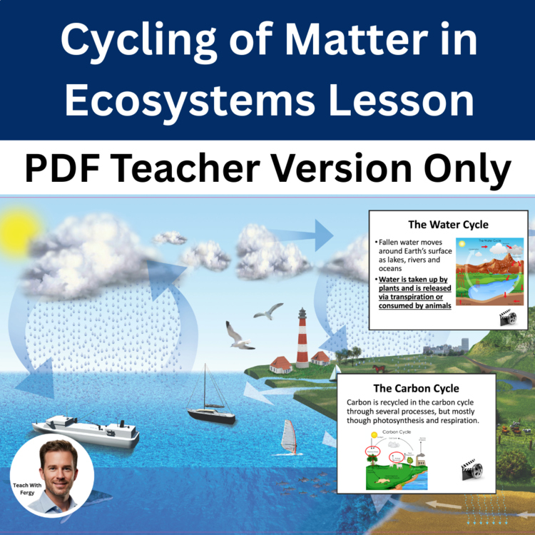 Cycling of Matter in Ecosystems Lesson | FREE PDF TEACHER VERSION