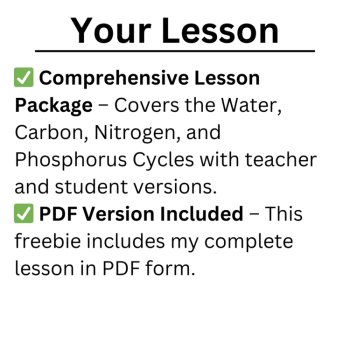 Cycling of Matter in Ecosystems Lesson | FREE PDF TEACHER VERSION, image 2