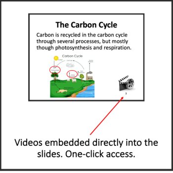 Cycling of Matter in Ecosystems Lesson | FREE PDF TEACHER VERSION, image 3