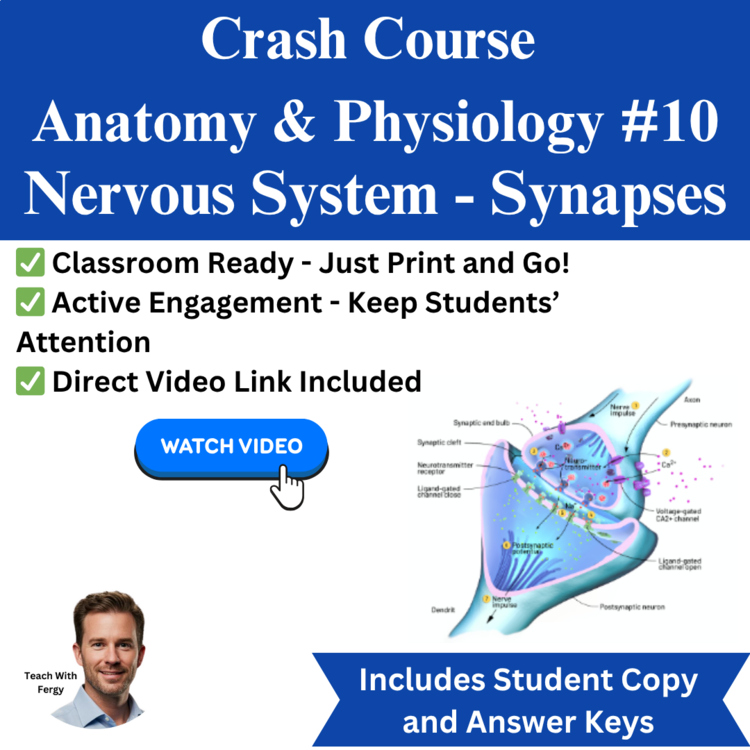 Crash Course ANATOMY & PHYSIOLOGY #10: Nervous System Synapses
