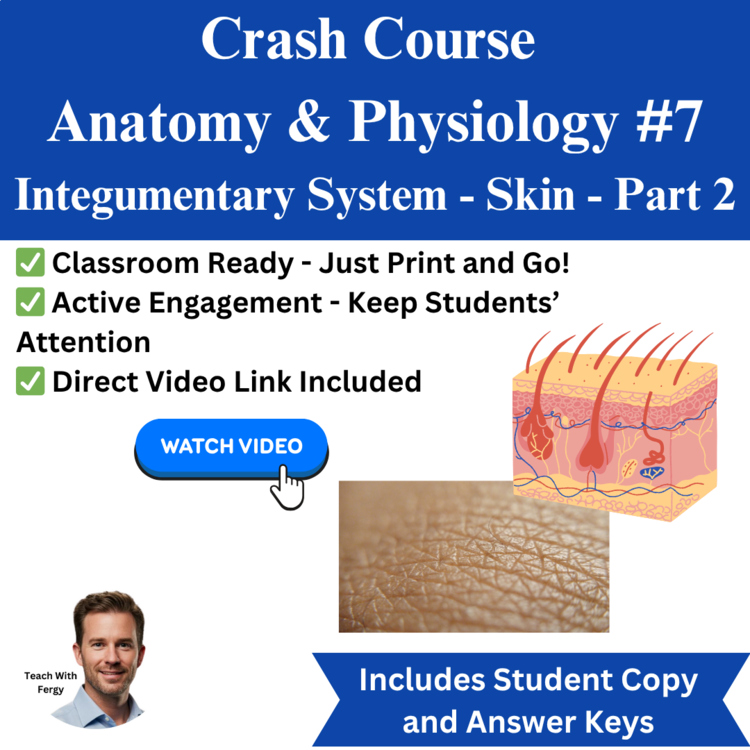 Crash Course ANATOMY & PHYSIOLOGY #7: Integumentary System - Skin 2 | Worksheet