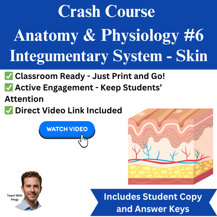 Crash Course ANATOMY & PHYSIOLOGY #6: Integumentary System - Skin | Worksheet