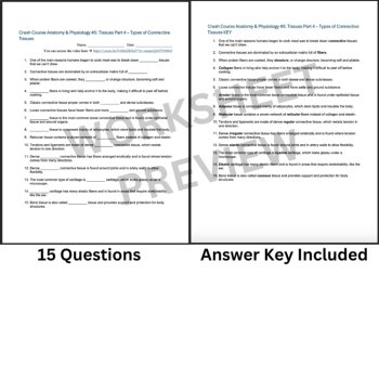 Crash Course ANATOMY & PHYSIOLOGY #5: Types of Connective Tissues | Worksheet, image 3