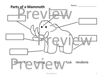 Label It Ice Age Animals, image 2