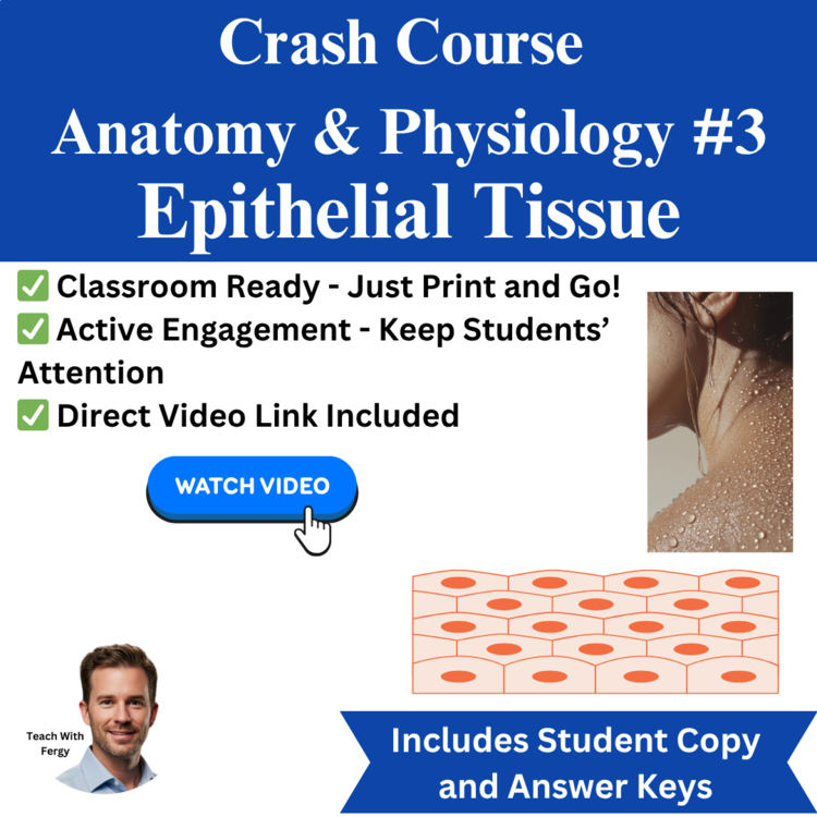 Crash Course ANATOMY & PHYSIOLOGY #3: Epithelial Tissue | Video Worksheet