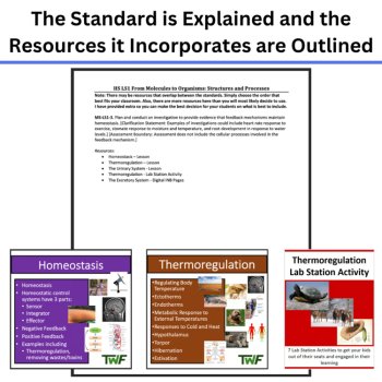 HS-LS1-3 Maintaining Homeostasis BUNDLE | Feedback Mechanisms, Thermoregulation, image 4