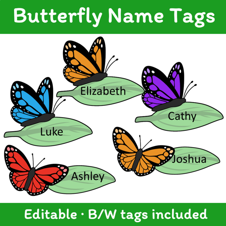 Editable Butterfly Student Name Tags Desk Plates Labels Cubby Locker