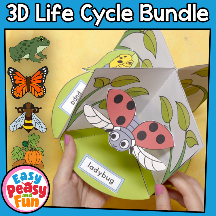 3D Life Cycles Bundle | Diorama Craft - Life Cycle of a Butterfly, Frog, Bee...