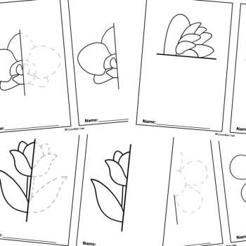 Flower Symmetry , image 2